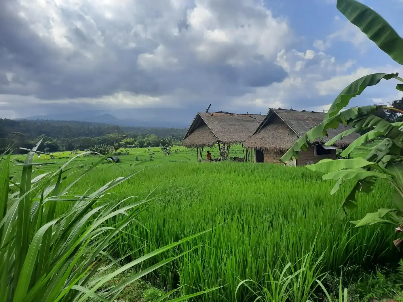East Bali: Temples & Hidden Trails
