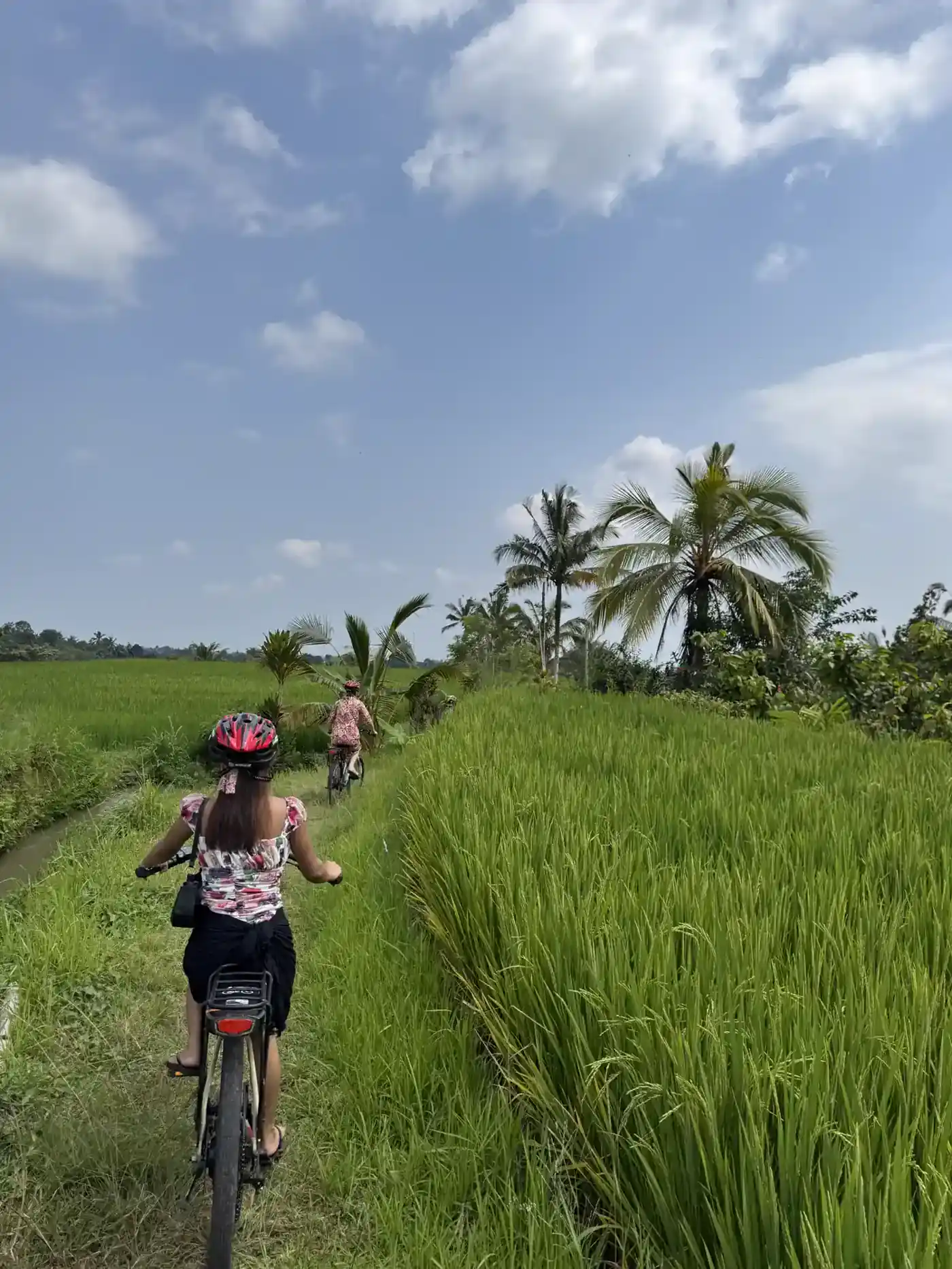 Jatiluwih Rice Terraces Tour photo 4