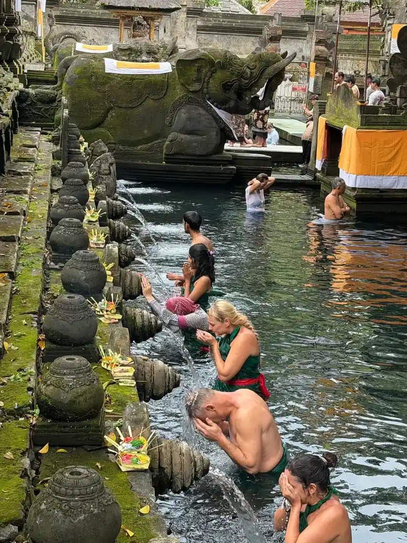 Ubud & Rice Terraces Tour