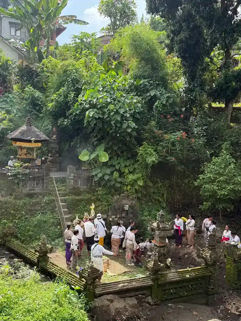 Ubud & Rice Terraces Tour photo 19
